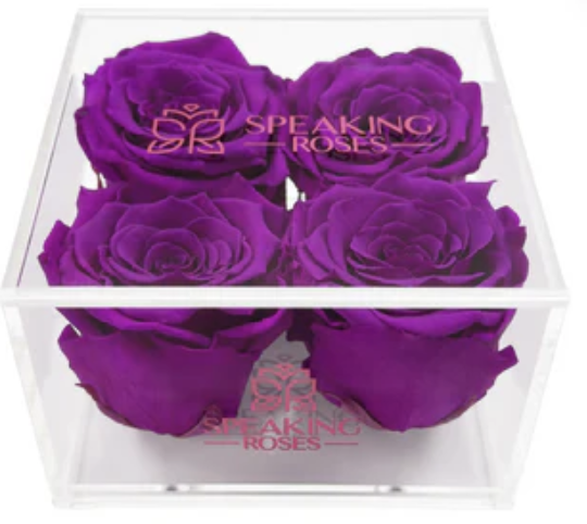 I love you - Square Acrylic Box (4 Preserved Heads)